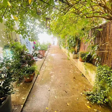 La Petite Maison Dans La Croix Rousse * Lyon