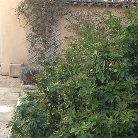La Petite Maison Dans La Croix Rousse * Lyon