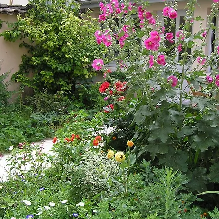 La Petite Maison Dans La Croix Rousse *