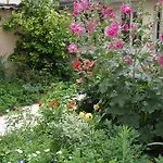 La Petite Maison Dans La Croix Rousse *