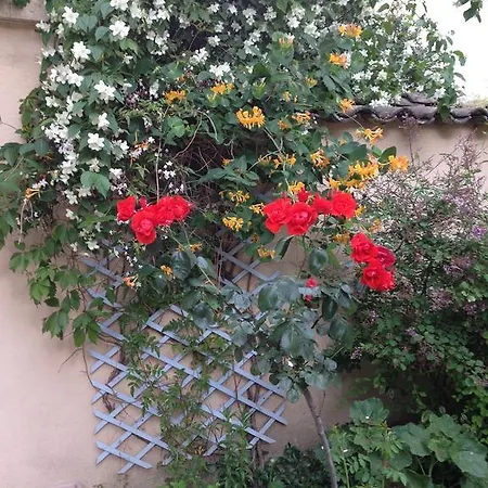 La Petite Maison Dans La Croix Rousse 別荘